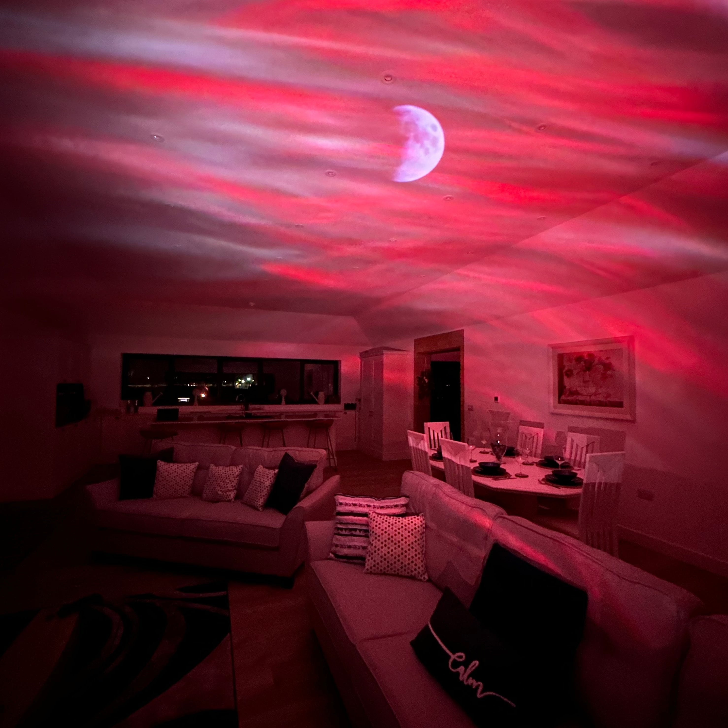 Projector